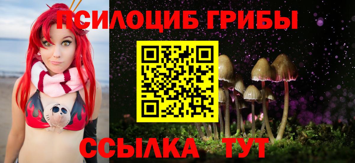 цена наркотик  Псилоцибиновые грибы Cubensis  Вход с VPN  Гагарин 