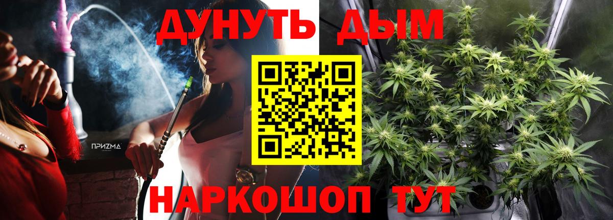 Шишки марихуана планчик Гагарин